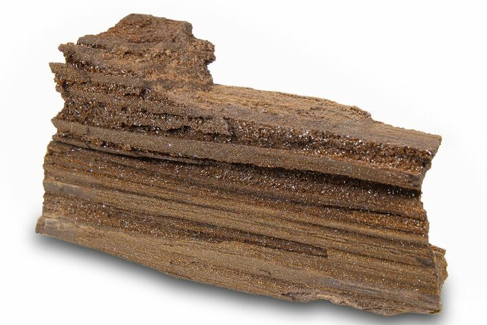 Permineralized Wood Covered In Sparkling Quartz -, Germany #263936